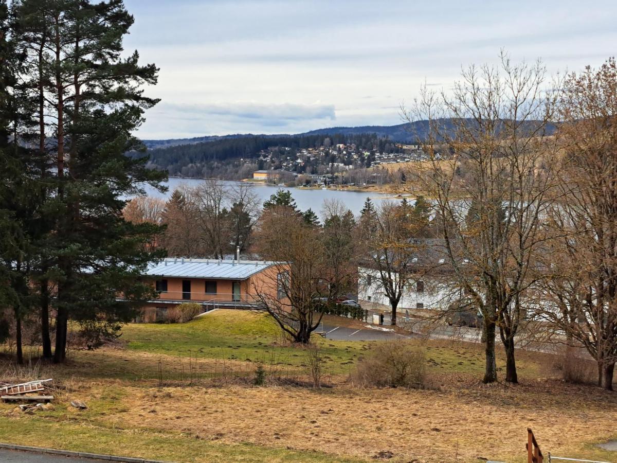 Apartman Max Lipno Lipno nad Vltavou Exteriér fotografie